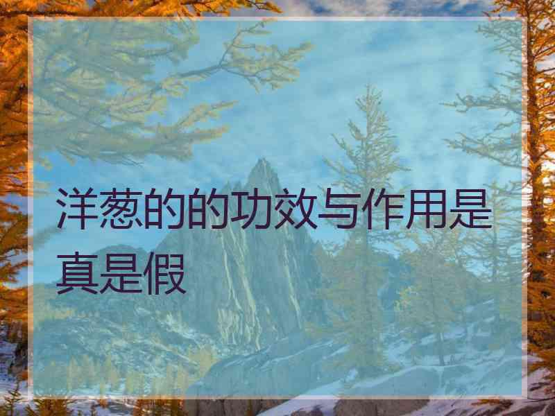 洋葱的的功效与作用是真是假 洋葱的的功效与作用是真是假