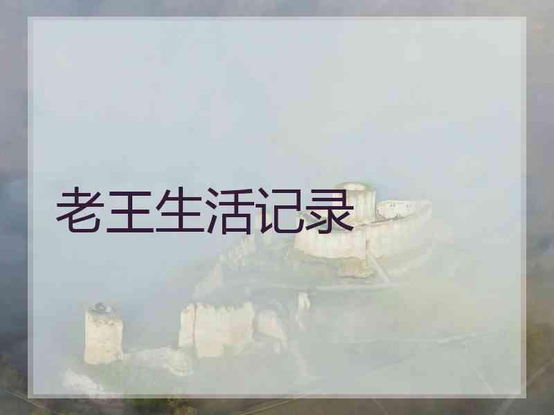 老王生活记录 老王生活记录