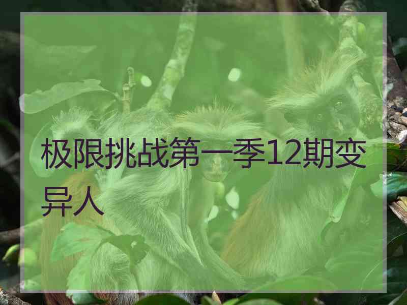 极限挑战第一季12期变异人 极限挑战第一季12期变异人