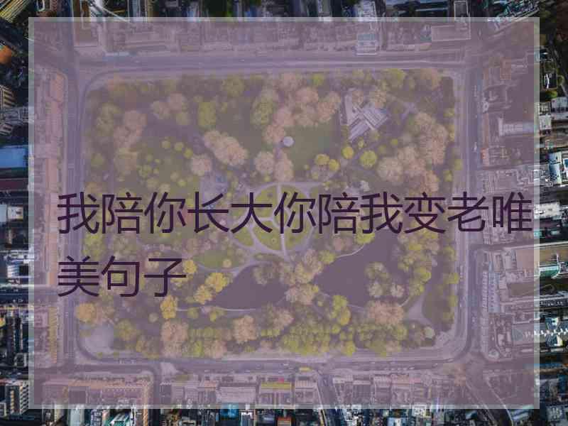 我陪你长大你陪我变老唯美句子 我陪你长大你陪我变老唯美句子