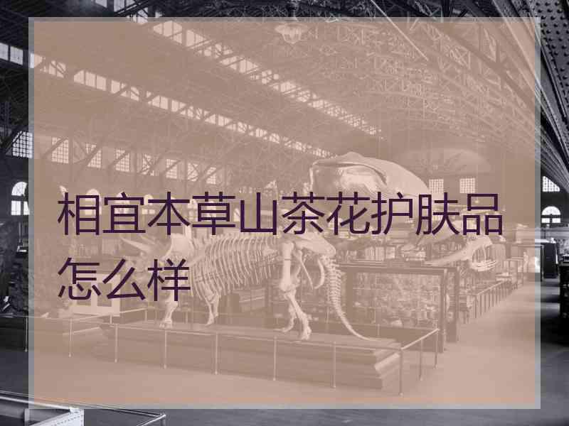 相宜本草山茶花护肤品怎么样 相宜本草山茶花护肤品怎么样