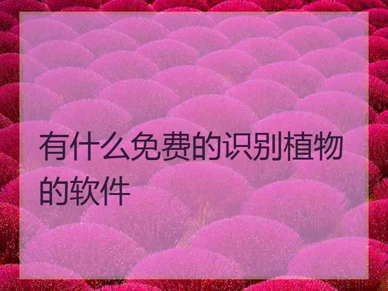 有什么免费的识别植物的软件 有什么免费的识别植物的软件