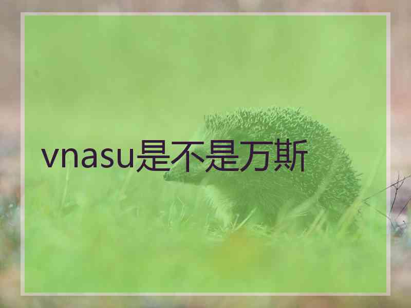 vnasu是不是万斯 vnasu是不是万斯