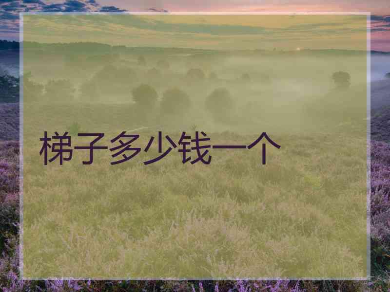 梯子多少钱一个 梯子多少钱一个