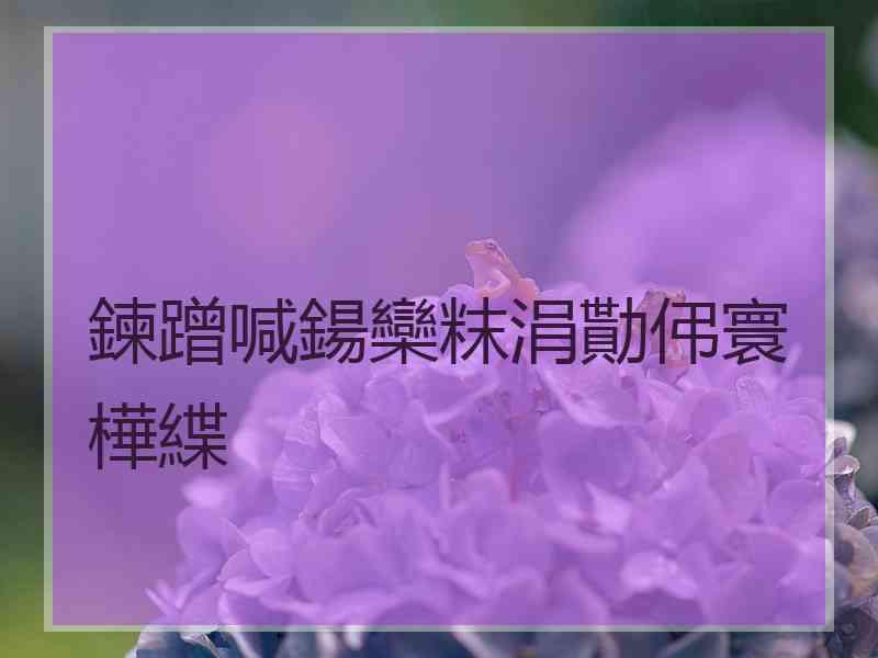 鍊蹭喊鍚欒粖涓勩伄寰樺緤 鍊蹭喊鍚欒粖涓勩伄寰樺緤
