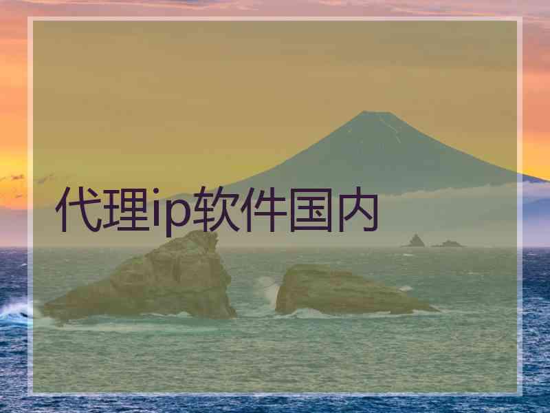 代理ip软件国内 代理ip软件国内
