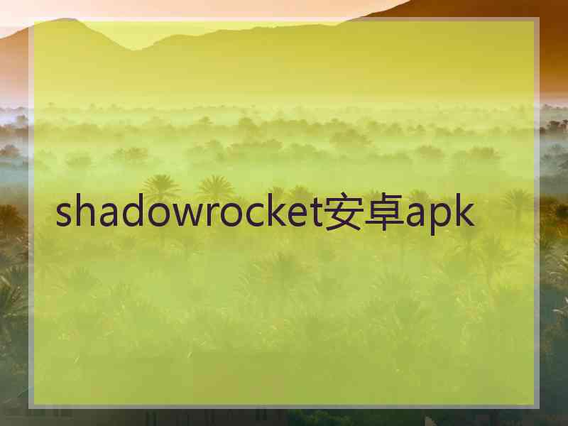 shadowrocket安卓apk