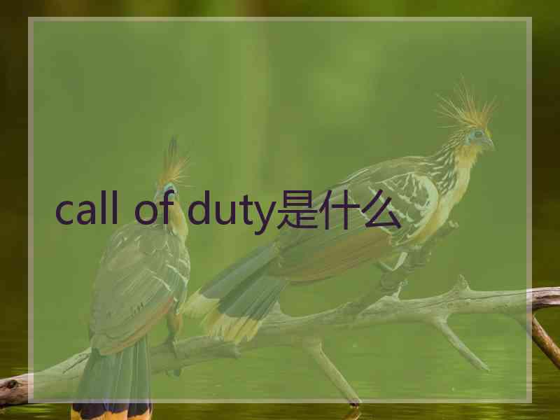 call of duty是什么