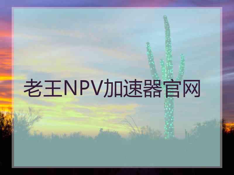 老王NPV加速器官网