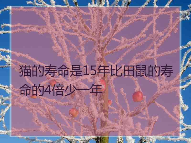 猫的寿命是15年比田鼠的寿命的4倍少一年 猫的寿命是15年比田鼠的寿命的4倍少一年