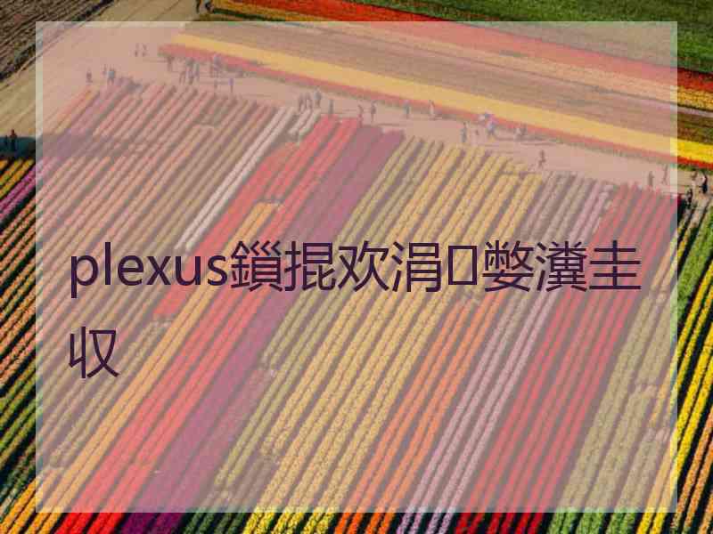 plexus鎻掍欢涓嫳瀵圭収 plexus鎻掍欢涓嫳瀵圭収