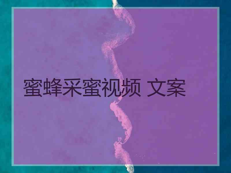 蜜蜂采蜜视频 文案 蜜蜂采蜜视频 文案