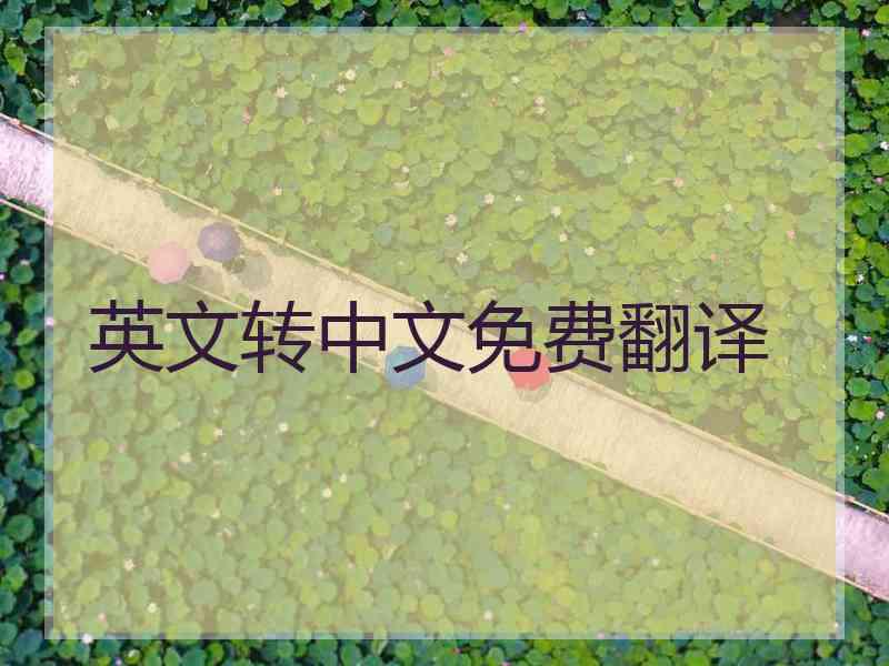 英文转中文免费翻译 英文转中文免费翻译