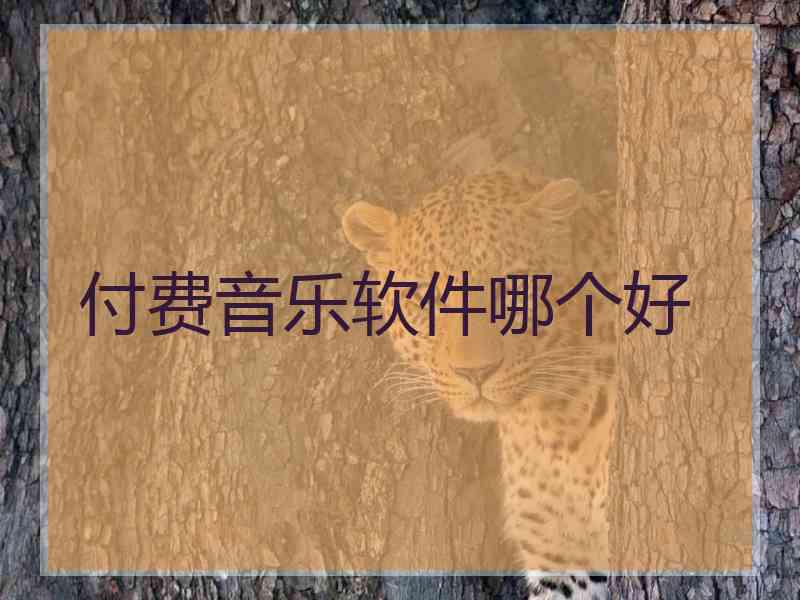 付费音乐软件哪个好 付费音乐软件哪个好