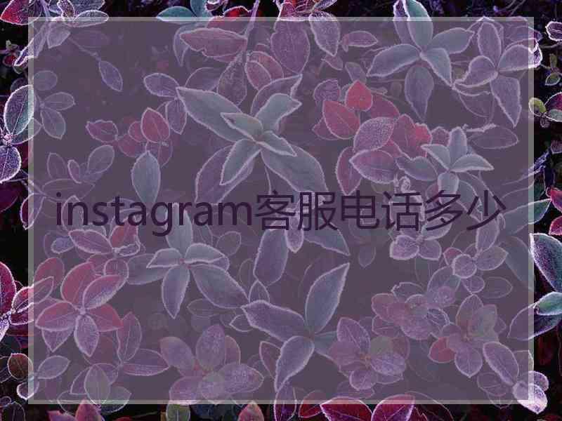 instagram客服电话多少 instagram客服电话多少