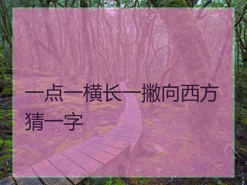 一点一横长一撇向西方猜一字 一点一横长一撇向西方猜一字