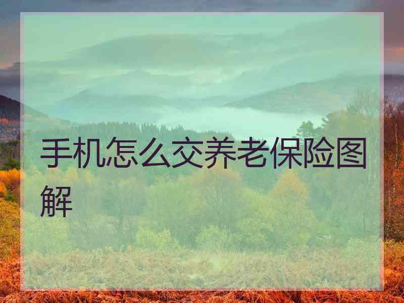 手机怎么交养老保险图解 手机怎么交养老保险图解