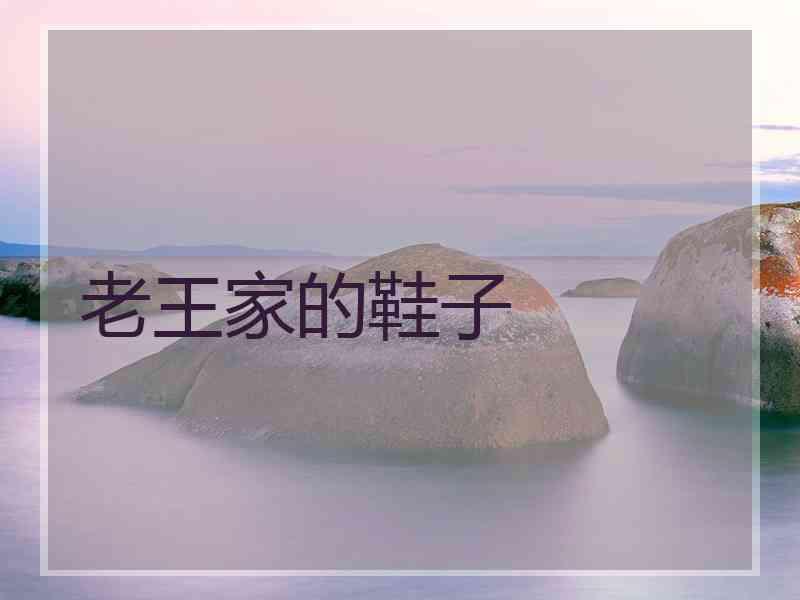 老王家的鞋子 老王家的鞋子