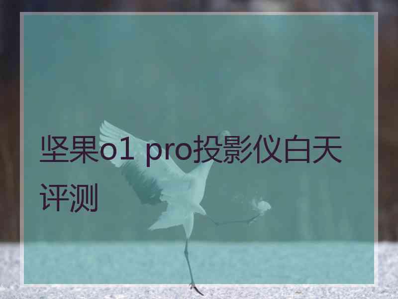坚果o1 pro投影仪白天评测 坚果o1 pro投影仪白天评测