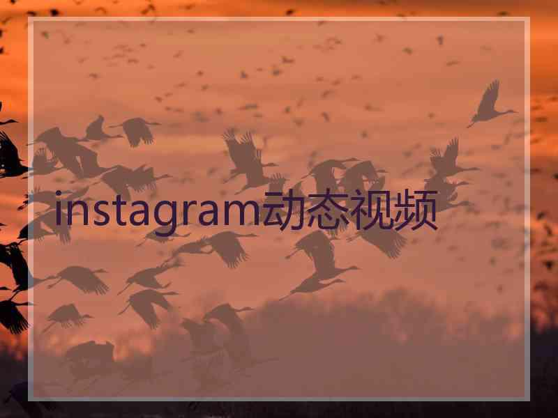 instagram动态视频 instagram动态视频