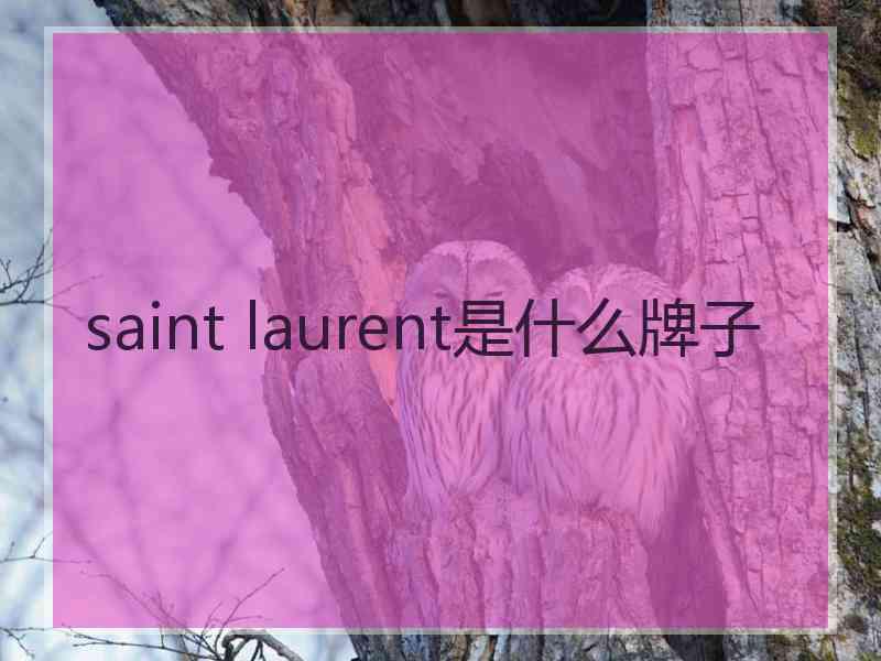 saint laurent是什么牌子 saint laurent是什么牌子