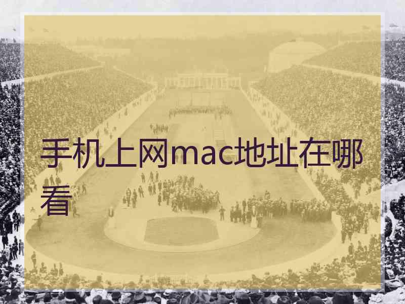 手机上网mac地址在哪看 手机上网mac地址在哪看