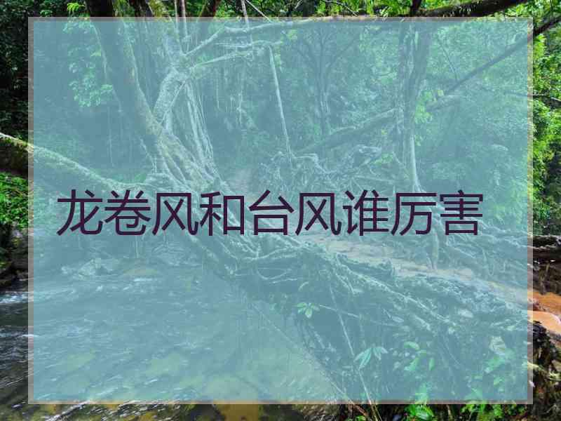 龙卷风和台风谁厉害 龙卷风和台风谁厉害