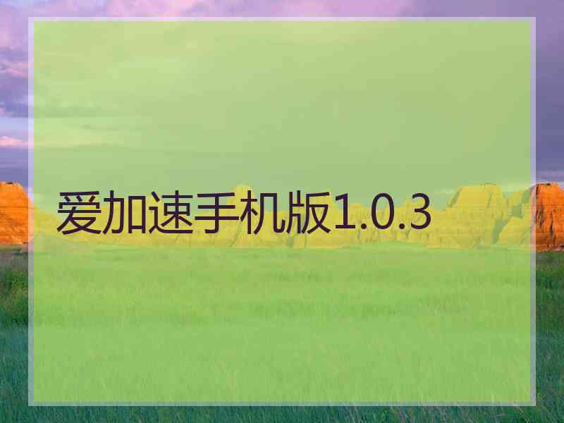 爱加速手机版1.0.3 爱加速手机版1.0.3