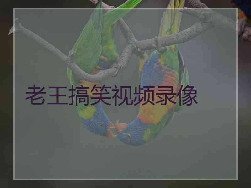 老王搞笑视频录像 老王搞笑视频录像