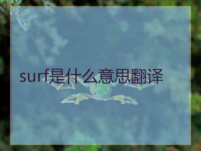 surf是什么意思翻译 surf是什么意思翻译