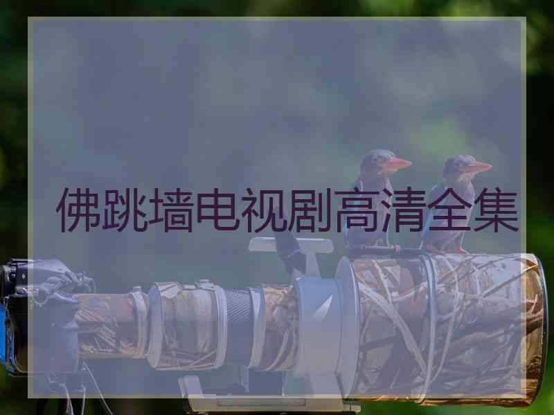 佛跳墙电视剧高清全集 佛跳墙电视剧高清全集