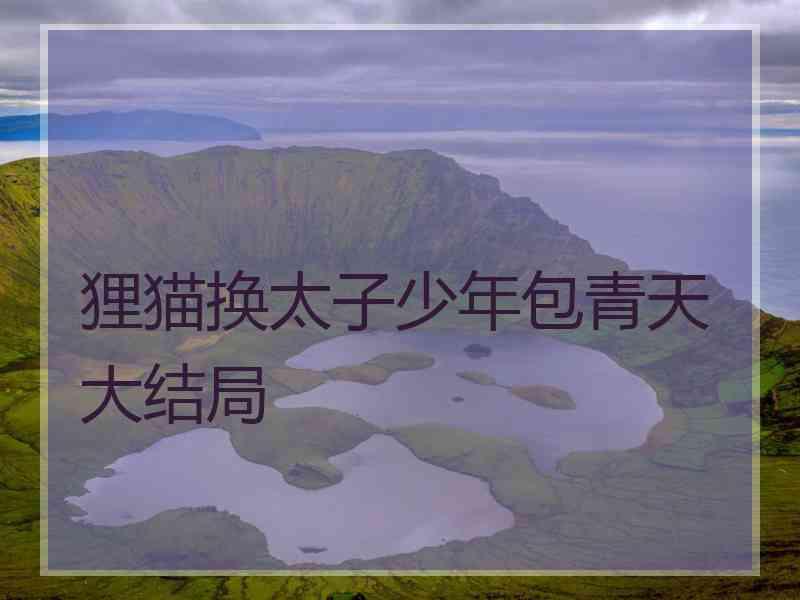 狸猫换太子少年包青天大结局 狸猫换太子少年包青天大结局