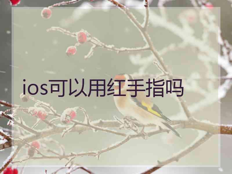 ios可以用红手指吗 ios可以用红手指吗