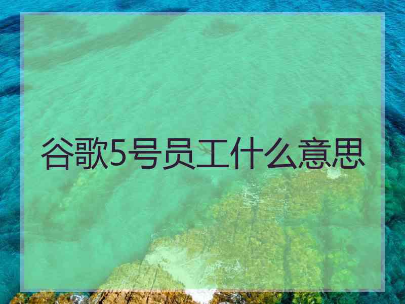 谷歌5号员工什么意思 谷歌5号员工什么意思