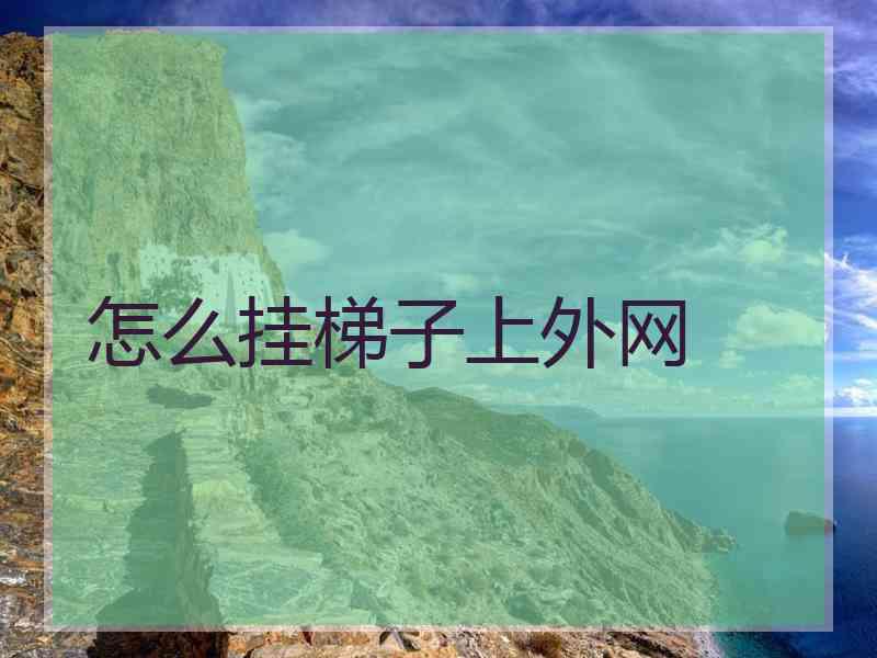怎么挂梯子上外网 怎么挂梯子上外网