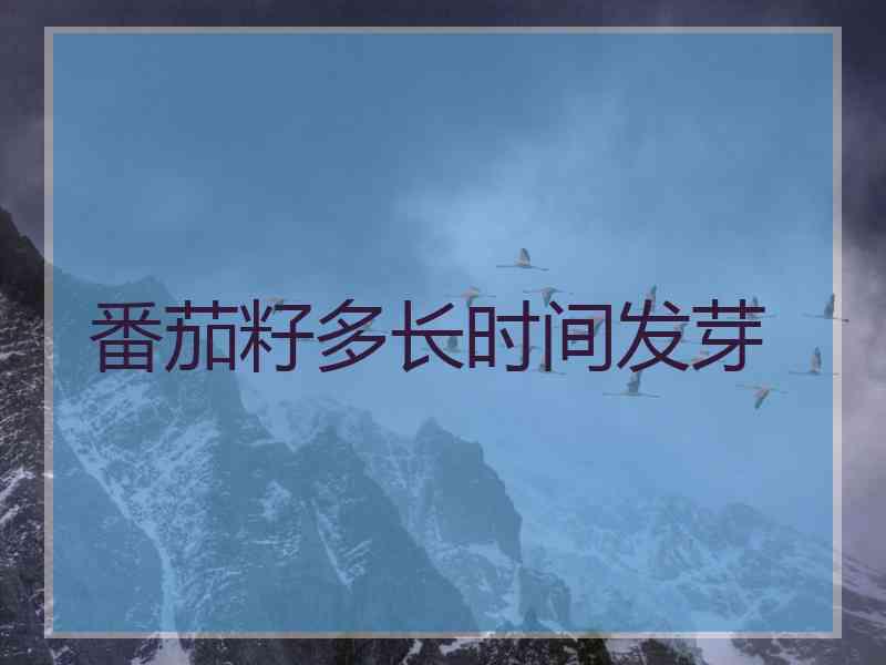 番茄籽多长时间发芽 番茄籽多长时间发芽