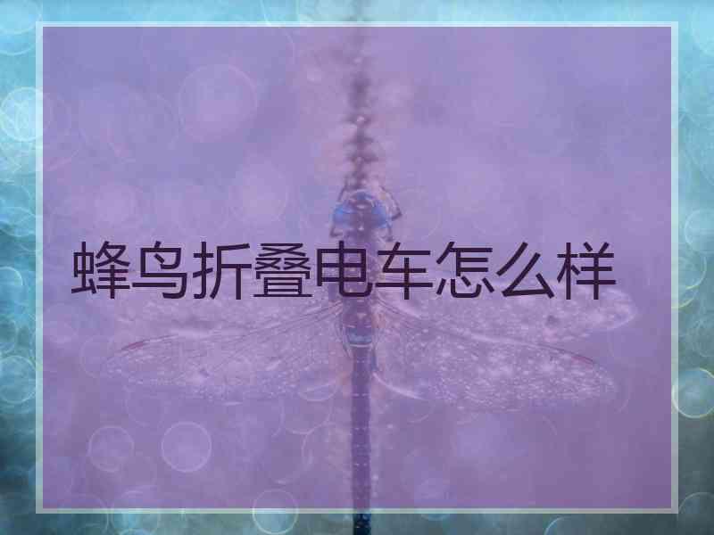 蜂鸟折叠电车怎么样 蜂鸟折叠电车怎么样