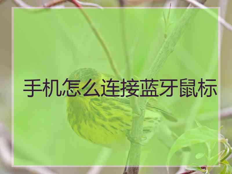 手机怎么连接蓝牙鼠标 手机怎么连接蓝牙鼠标