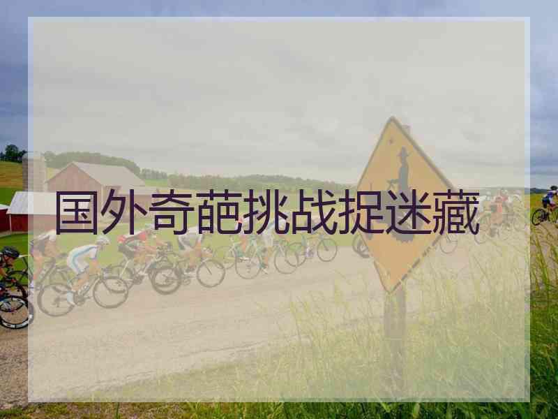 国外奇葩挑战捉迷藏 国外奇葩挑战捉迷藏