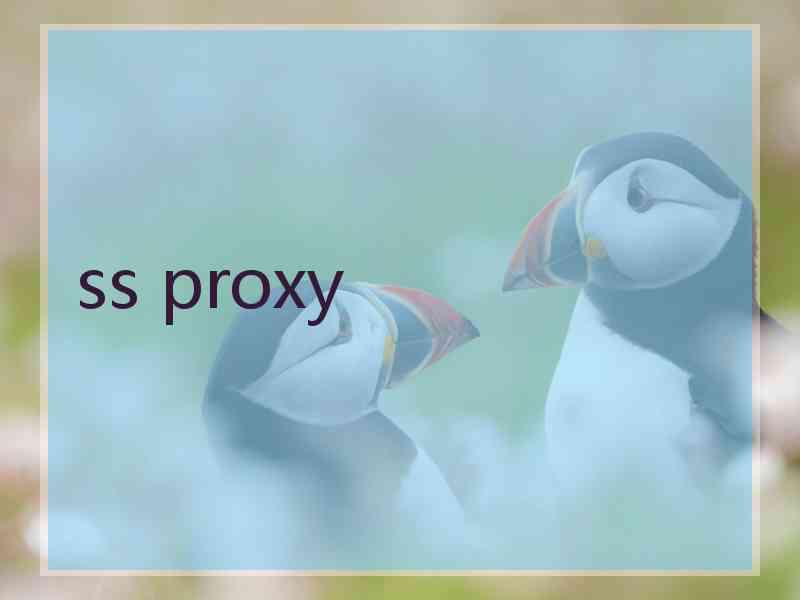 ss proxy