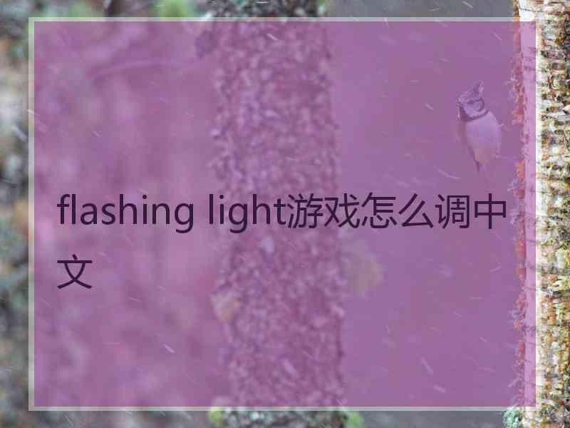 flashing light游戏怎么调中文