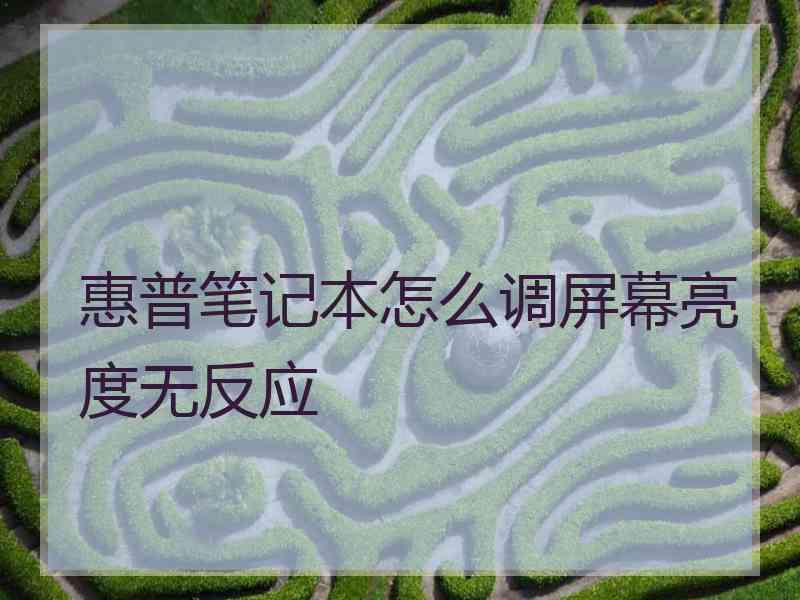 惠普笔记本怎么调屏幕亮度无反应 惠普笔记本怎么调屏幕亮度无反应