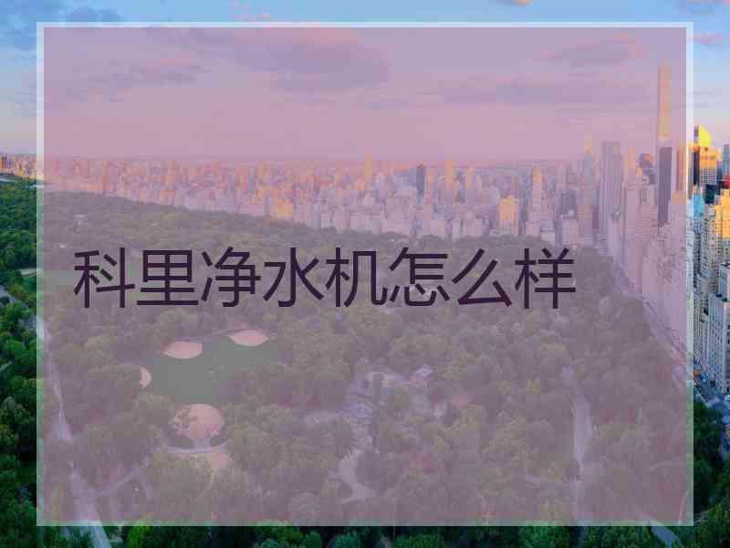 科里净水机怎么样 科里净水机怎么样