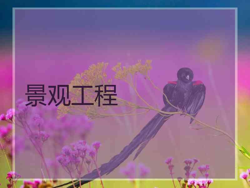 景观工程 景观工程