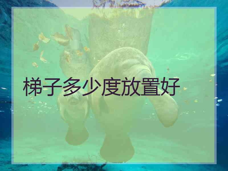梯子多少度放置好 梯子多少度放置好