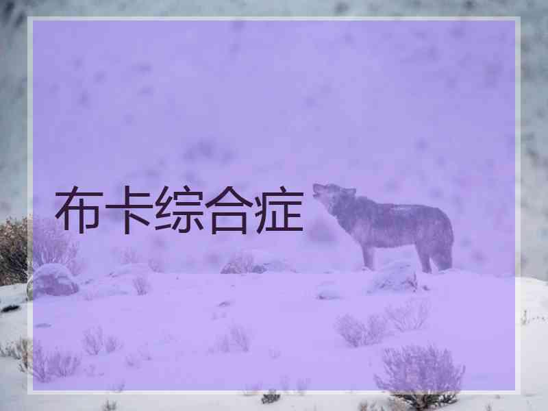 布卡综合症 布卡综合症