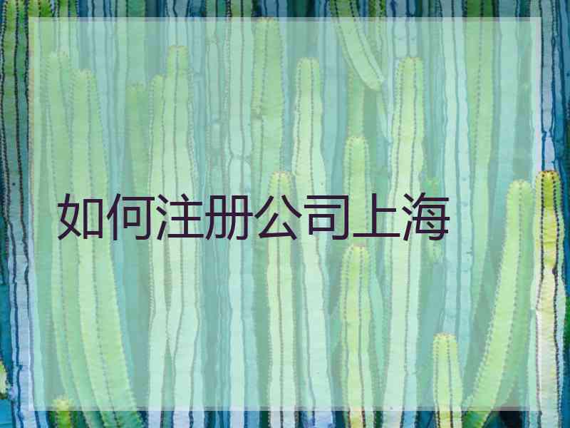 如何注册公司上海 如何注册公司上海