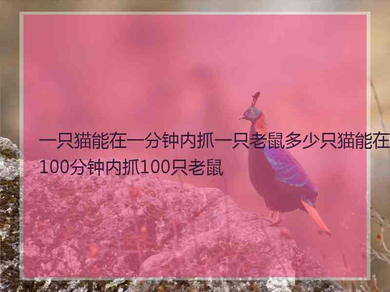 一只猫能在一分钟内抓一只老鼠多少只猫能在100分钟内抓100只老鼠 一只猫能在一分钟内抓一只老鼠多少只猫能在100分钟内抓100只老鼠