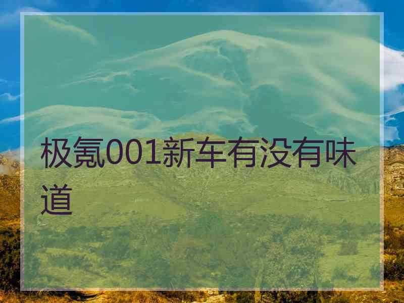 极氪001新车有没有味道 极氪001新车有没有味道