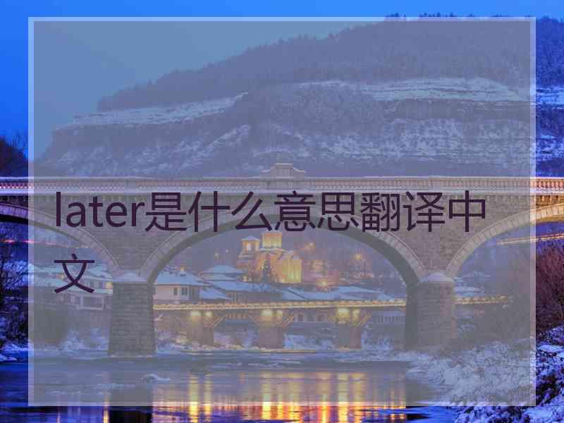 later是什么意思翻译中文 later是什么意思翻译中文